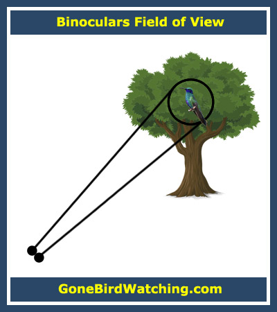 Binoculars Field of View Explained